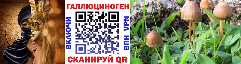 наркошоп  Харабали  Галлюциногенные грибы Cubensis 